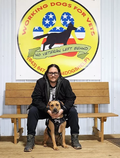 WorkingDogsForVets tweet media