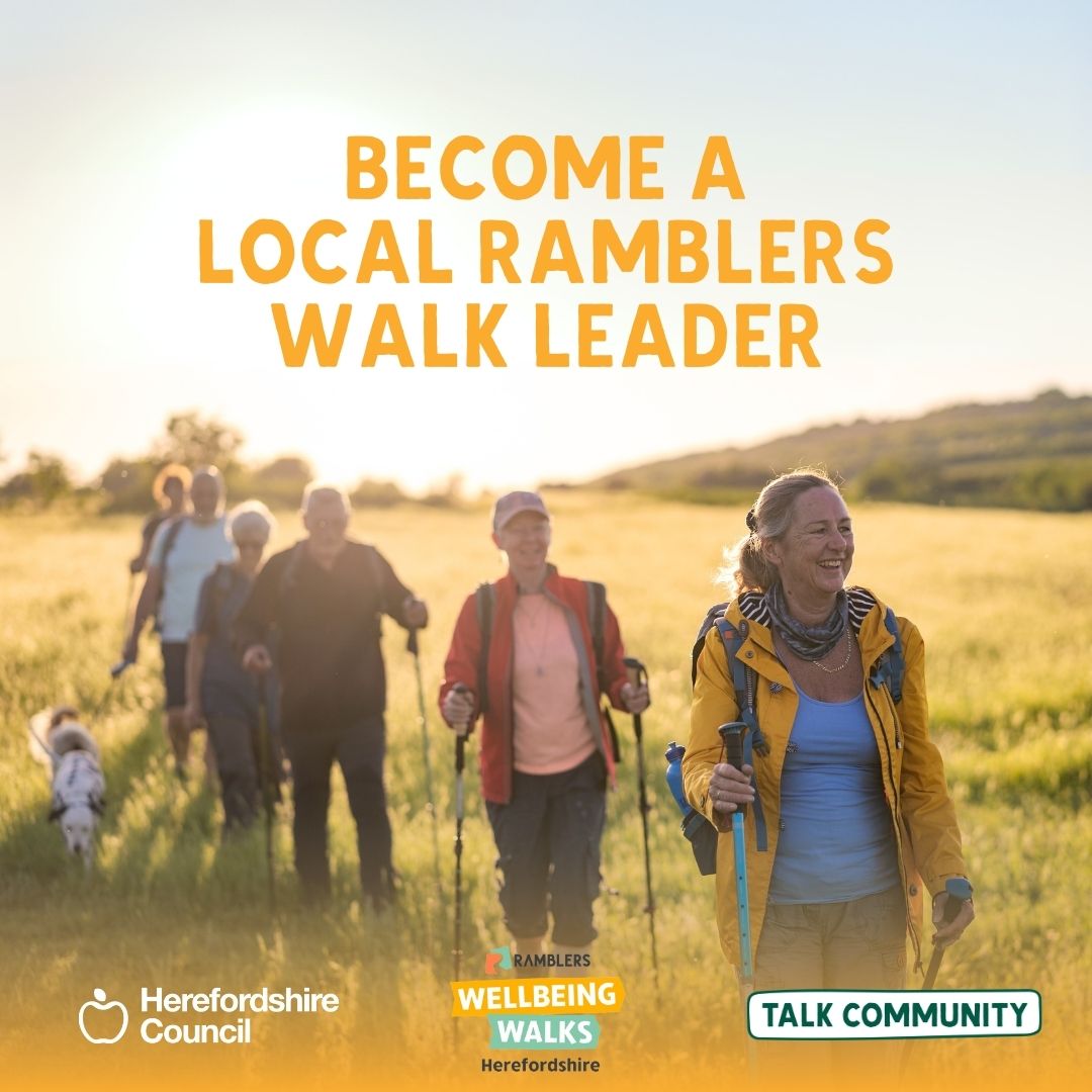 Talk Community 🌈 tweet media