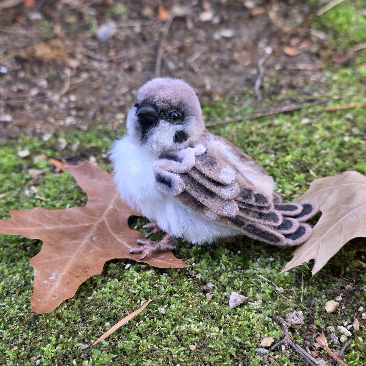 소소한 인형공방💕 tweet media