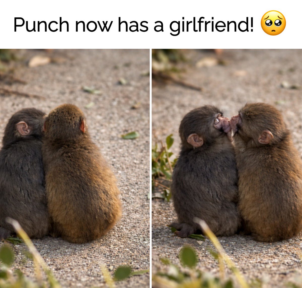 عبد الواحد tweet media