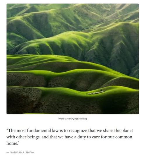 Jeff Remington tweet media