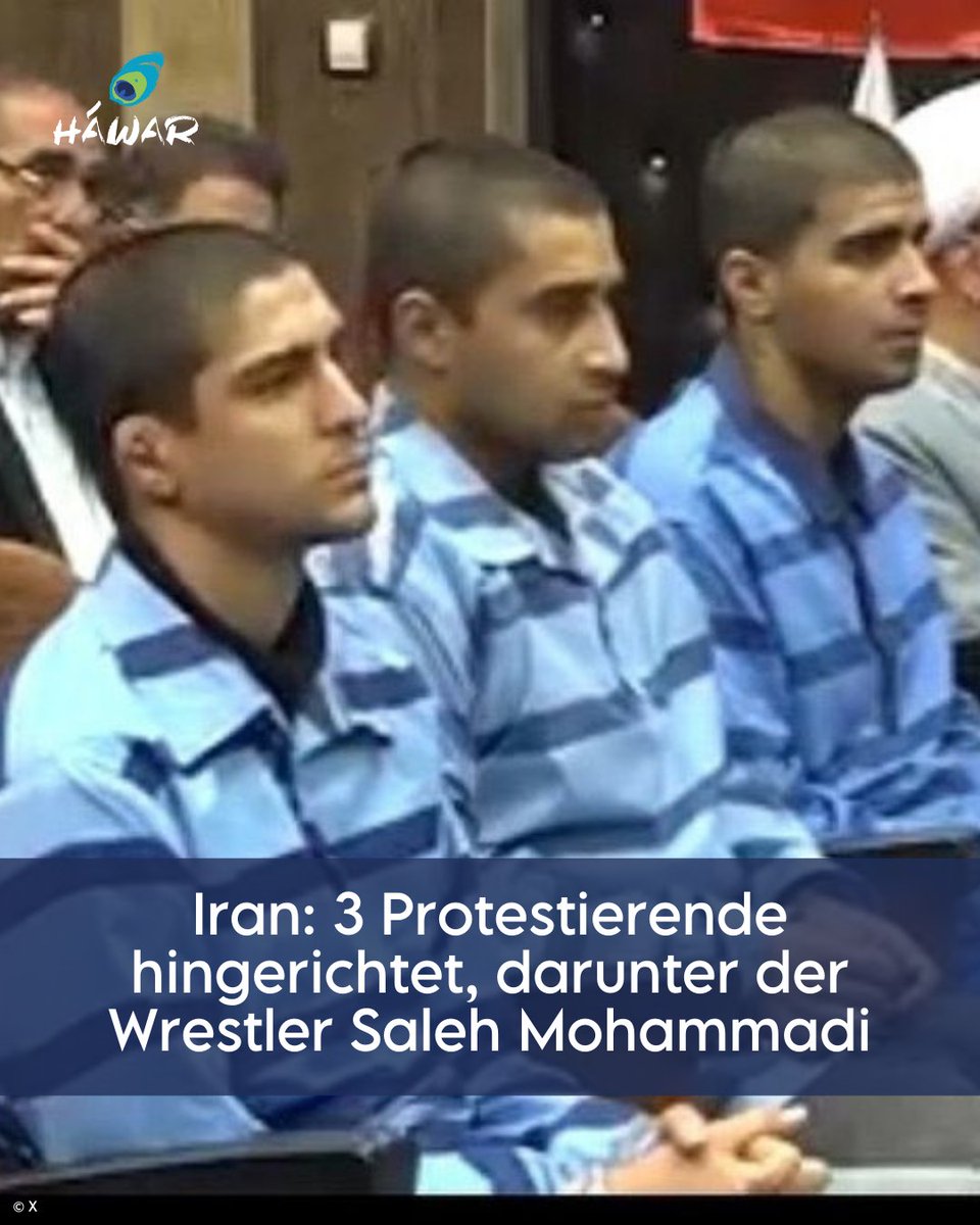 HAWAR.help tweet media