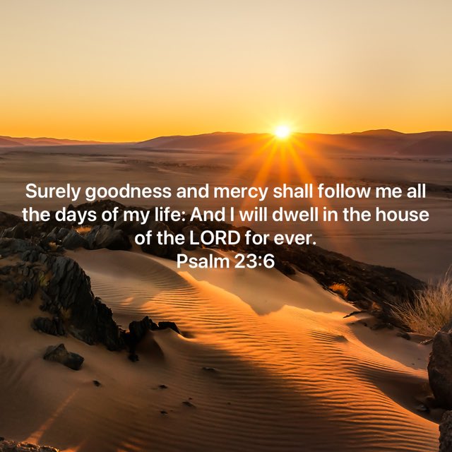 Piece of My Mind tweet media