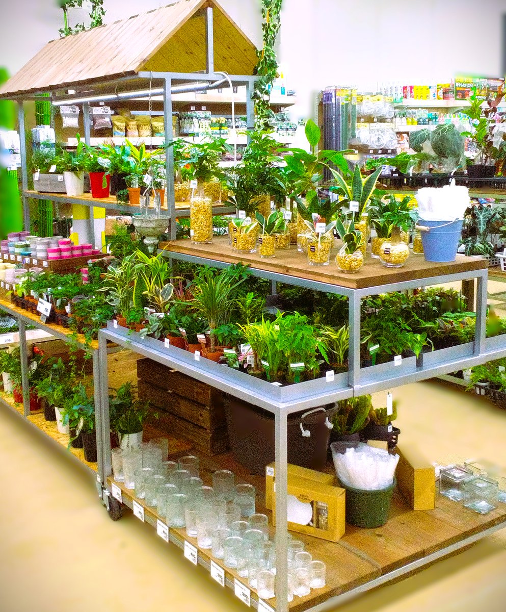 ガーデンセンター君津店】 ✨リニューアルオープン✨ おかげさま