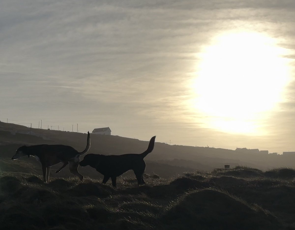 Good morning ☕️from a beautiful Cnoc Fola ☀️🐶🐾 #donegal