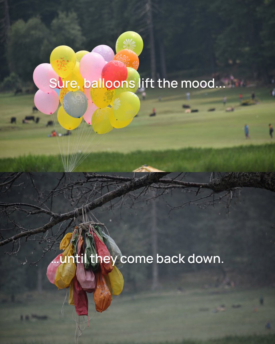 Tree-Nation tweet media