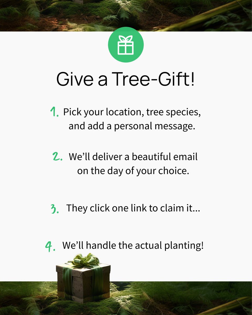 Tree-Nation tweet media