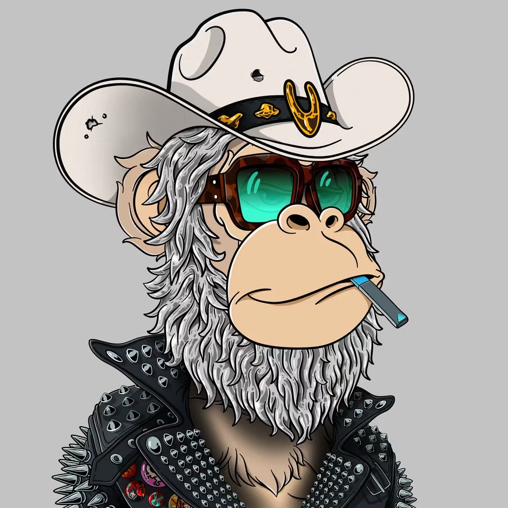 DDishOZ👑 tweet media