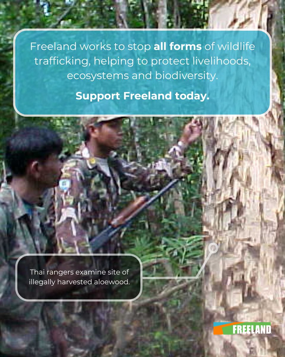 FREELAND tweet media