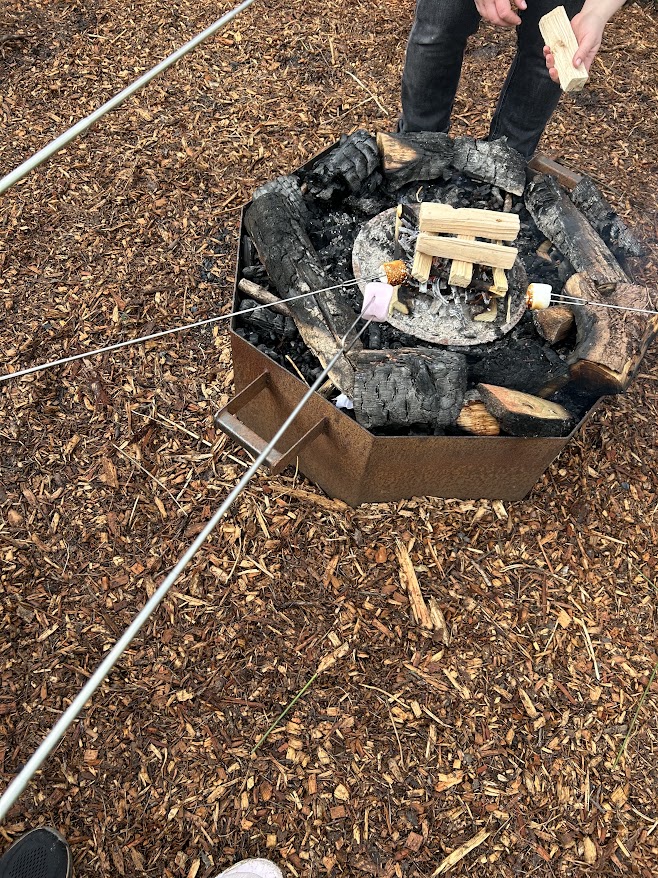 MethodyBelfast's tweet image. Some of our Form 2 and 3 pupils went to Bog Meadows Ulster Wildlife reserve with Shared Education Eco Schools. Along with Malone College, they took part in team games, learnt how to light a fire safely and made smores. A great day was had by all!

#MCB #Methody #MadetoLead