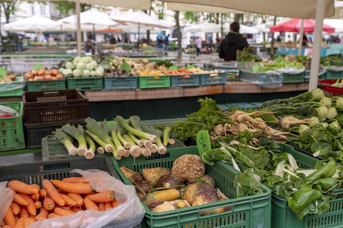 Turizem Ljubljana tweet media
