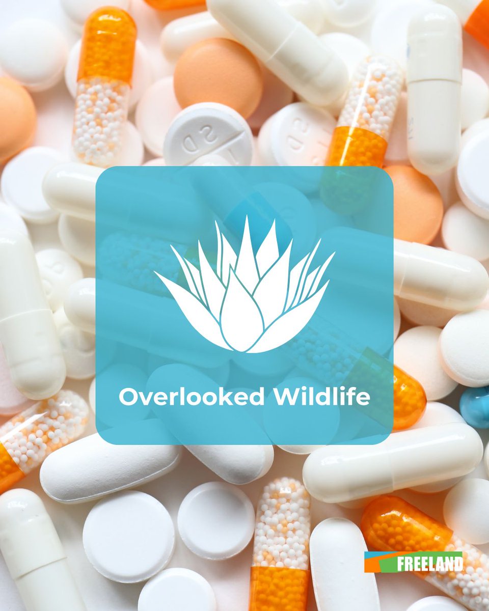 FREELAND tweet media