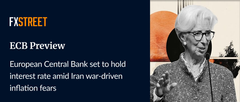 FXStreet News tweet media