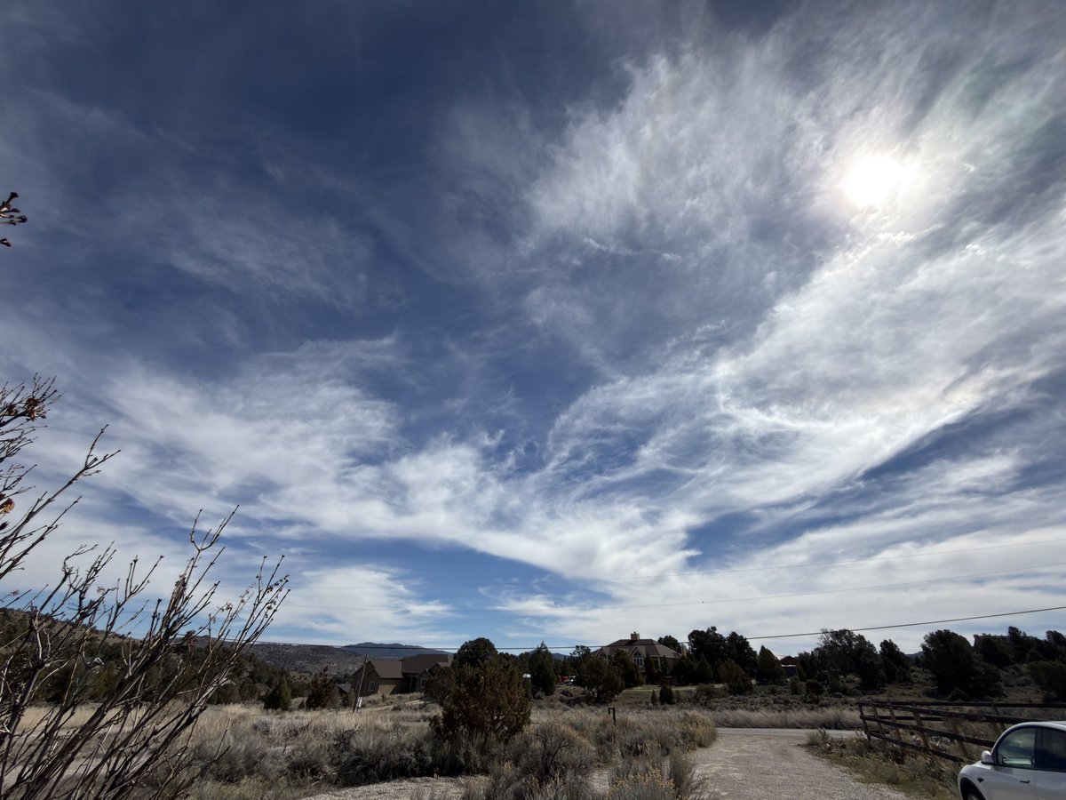 Model Y Maniac 🇺🇸 tweet media