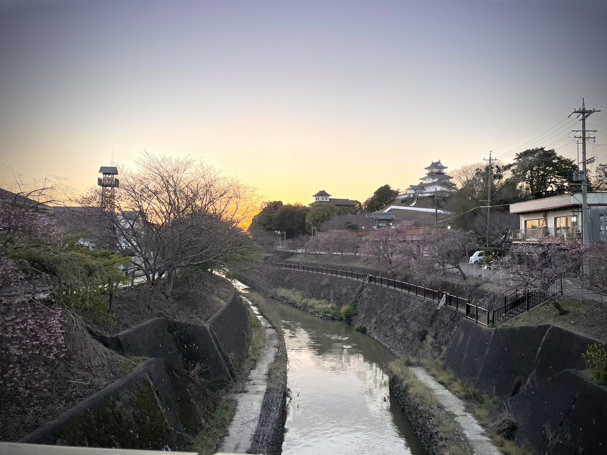 福田カメラ|掛川福田スタジオ 【公式】753前撮り開催中 tweet media