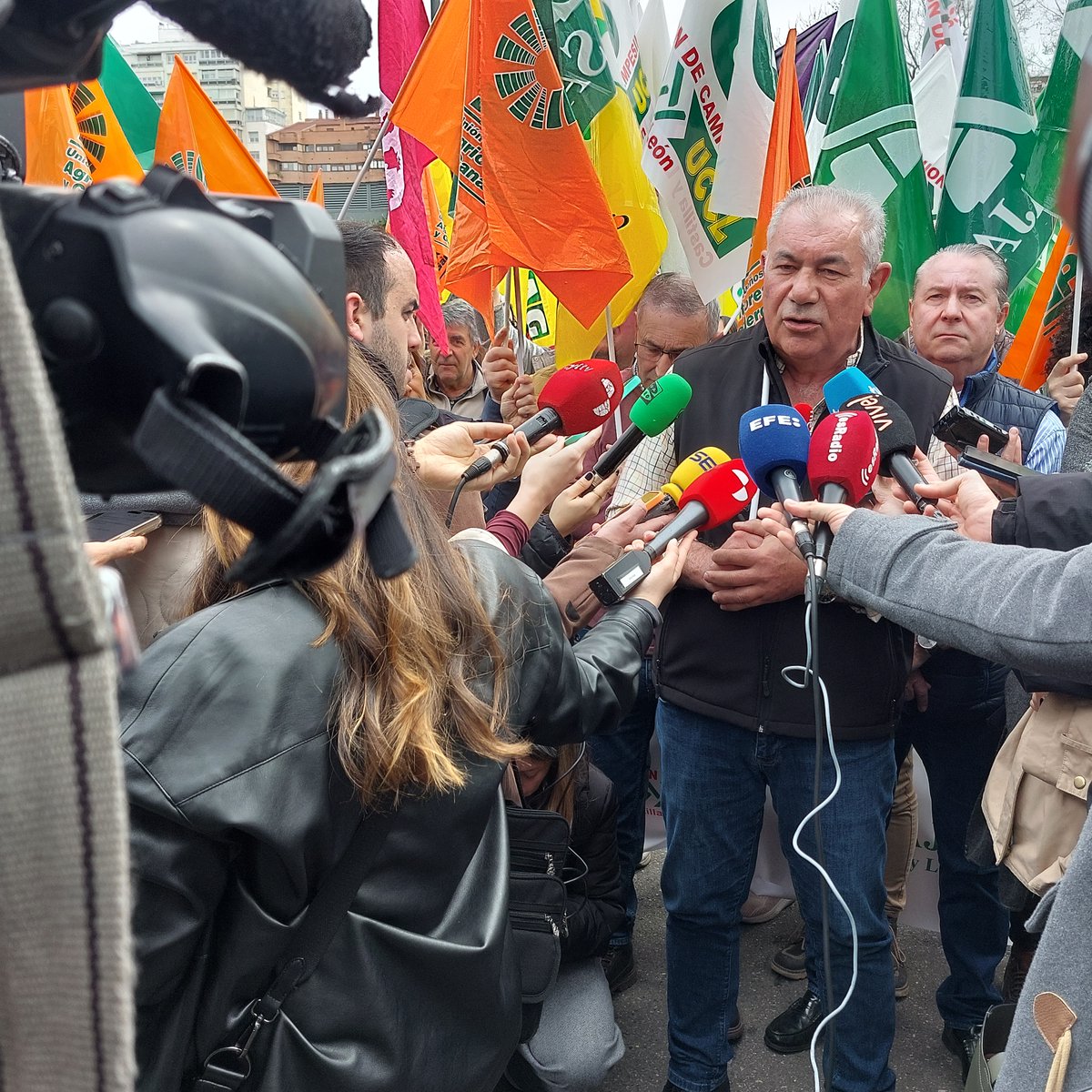 upacastillayleon tweet media