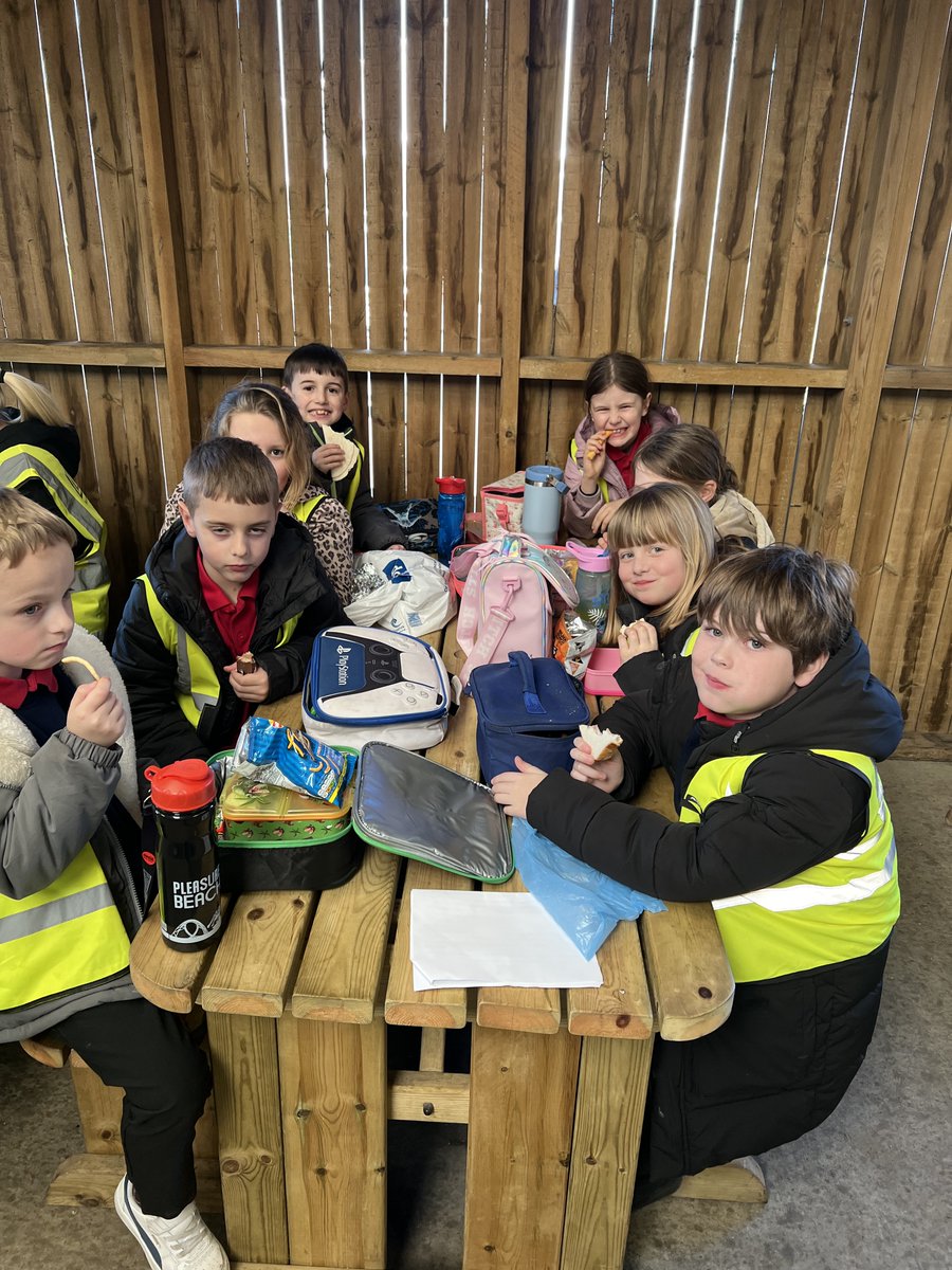 WBJYear3 tweet media