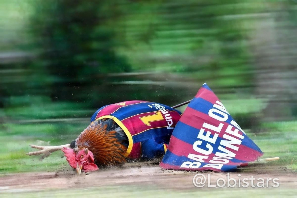 lobistars🇳🇬 tweet media