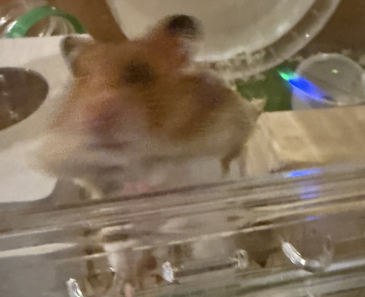 相川晴(HAL) tweet media