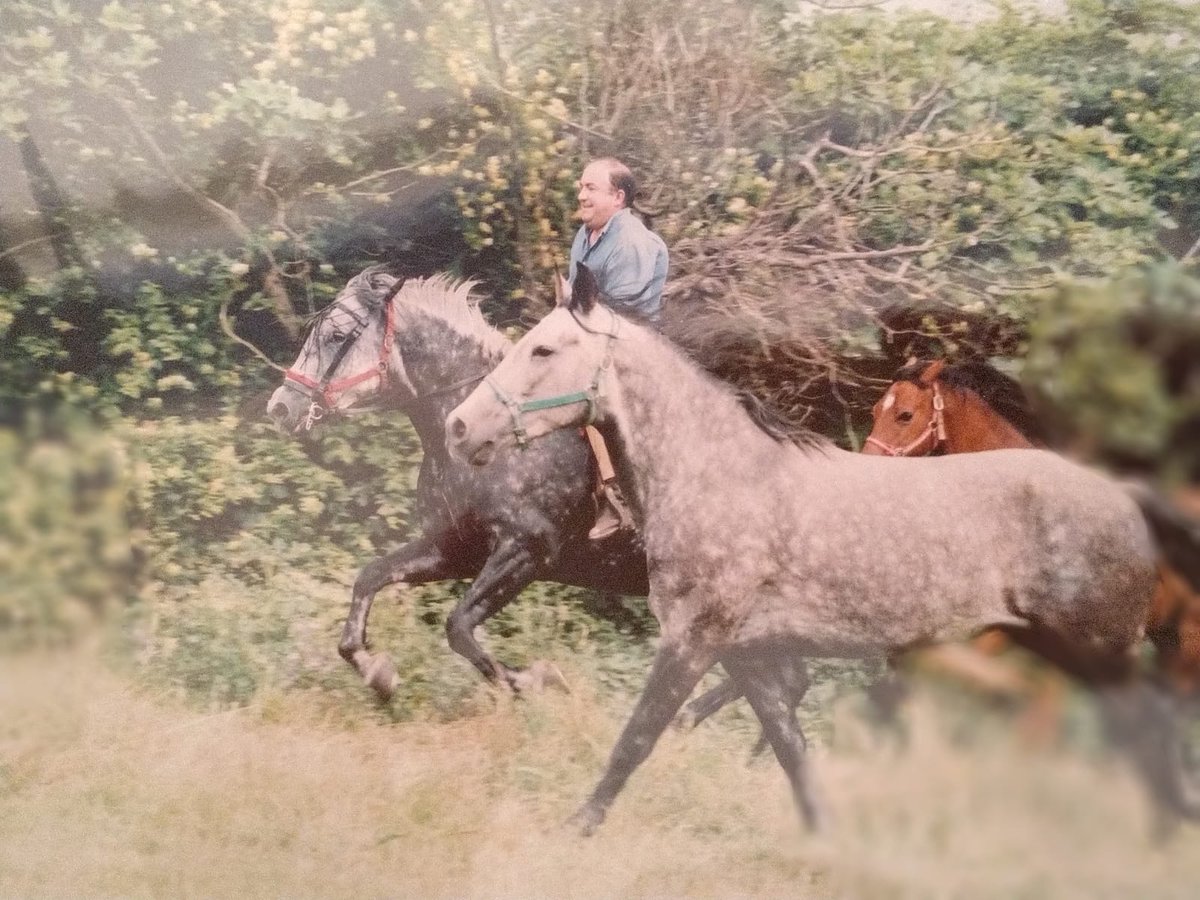 Santiago Abascal 🇪🇸 tweet media