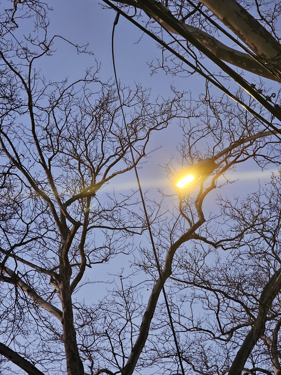 TeamMate Tamiko BB tweet media