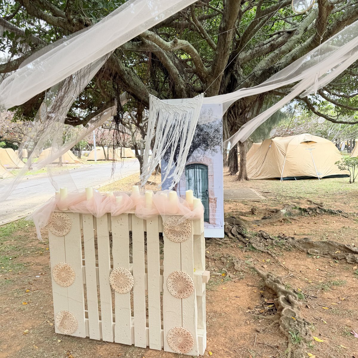 西平正子 tweet media