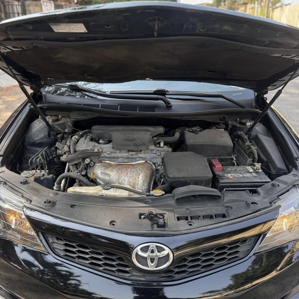 Jimi Animashaun tweet media