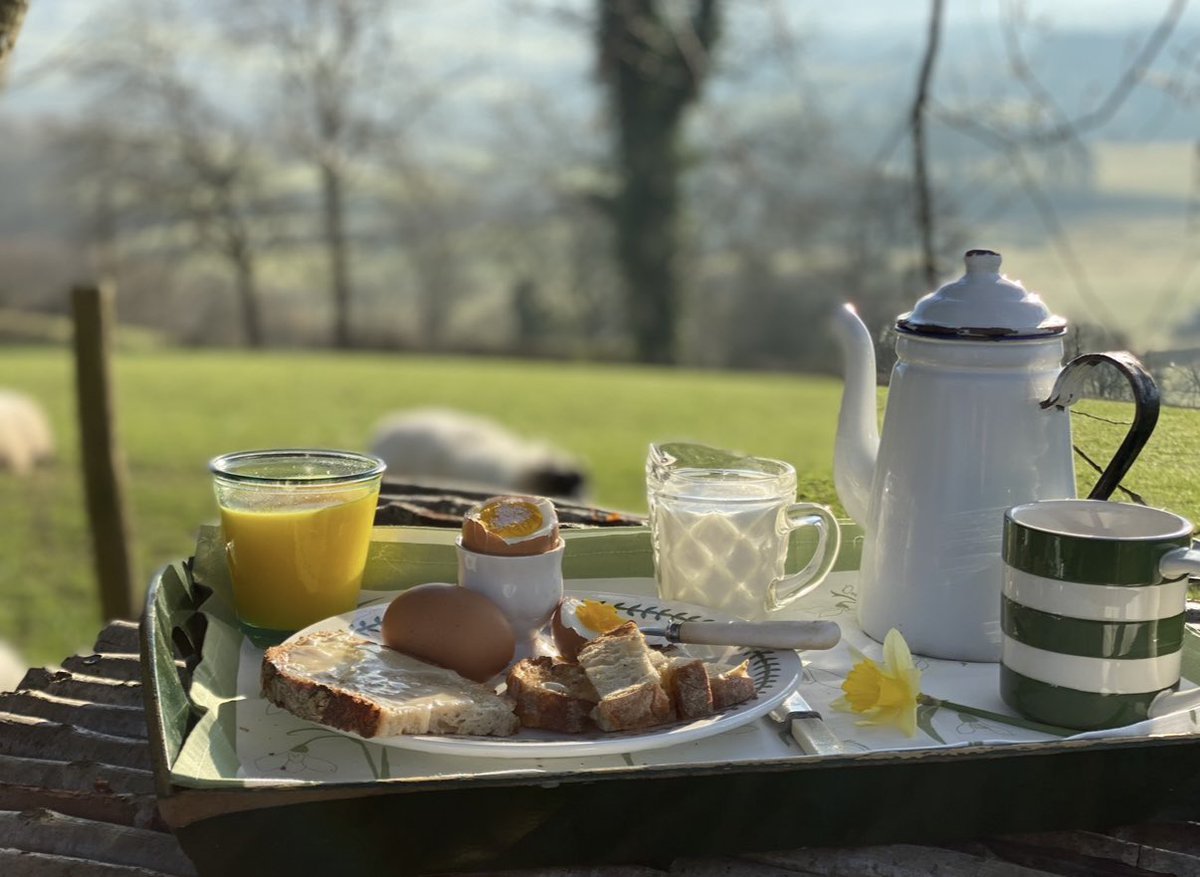 Alison O’Neill ~ Shepherdess tweet media