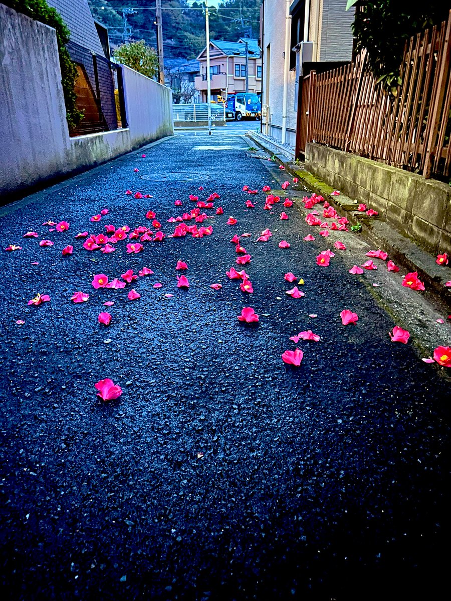 ShojiroSuzuki's tweet photo. ミカド劇場。帰り道ファミチキ買って食べながら少し春のにおいのする夜を反芻しながら家まで。初めて観させて頂いた星愛美さんと浜崎るりさんが素晴らしすぎて、反省すらした。板の上に立つ人の、人を喜ばせる覚悟の突き抜け方よ。最高だったなー。それを楽しむお客さんの顔を見てまたそれが最高で。 https://t.co/GG8mrHDc4g