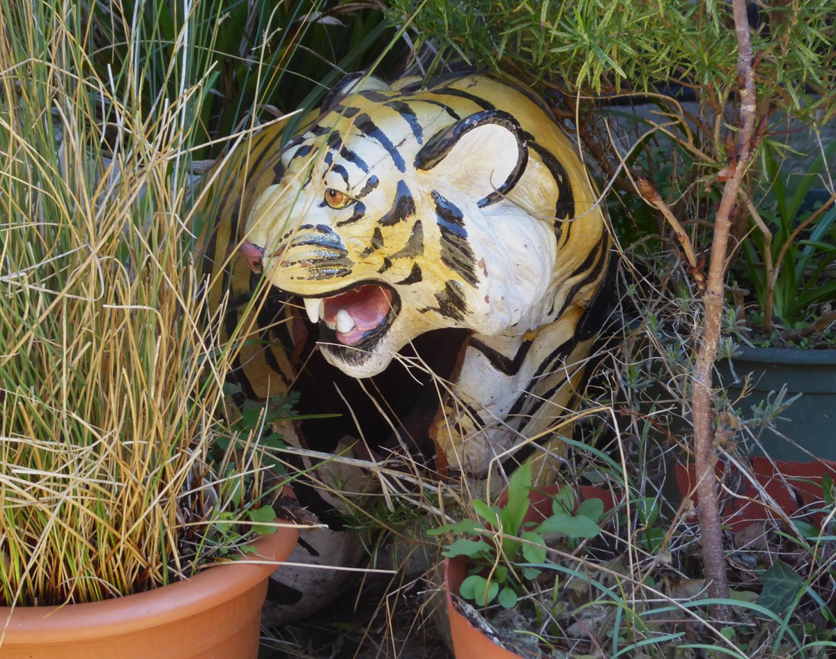 CatherineRosamundLowe tweet media