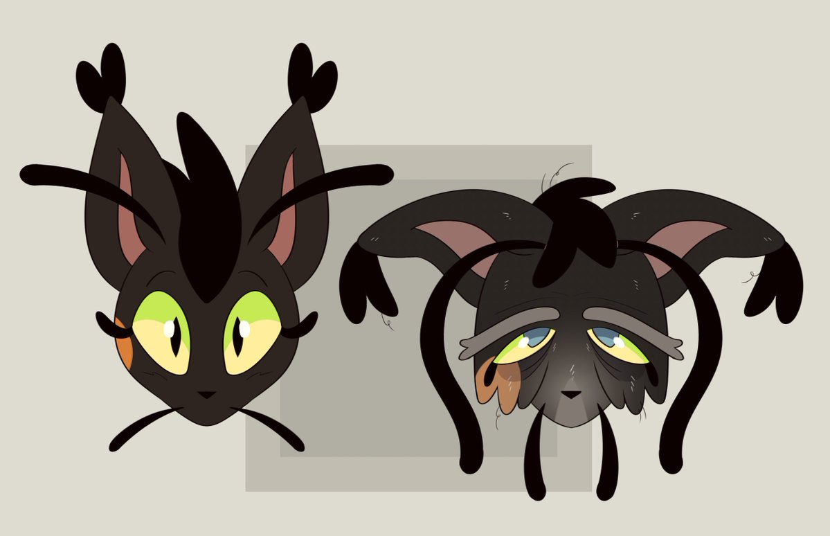 crinkly doo tweet media