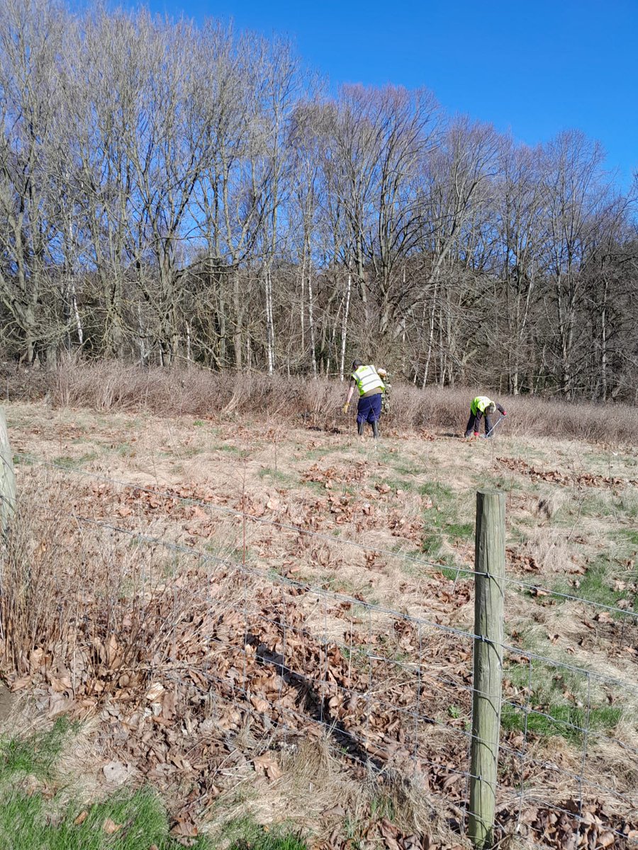 Friends of Roundhay Park tweet media