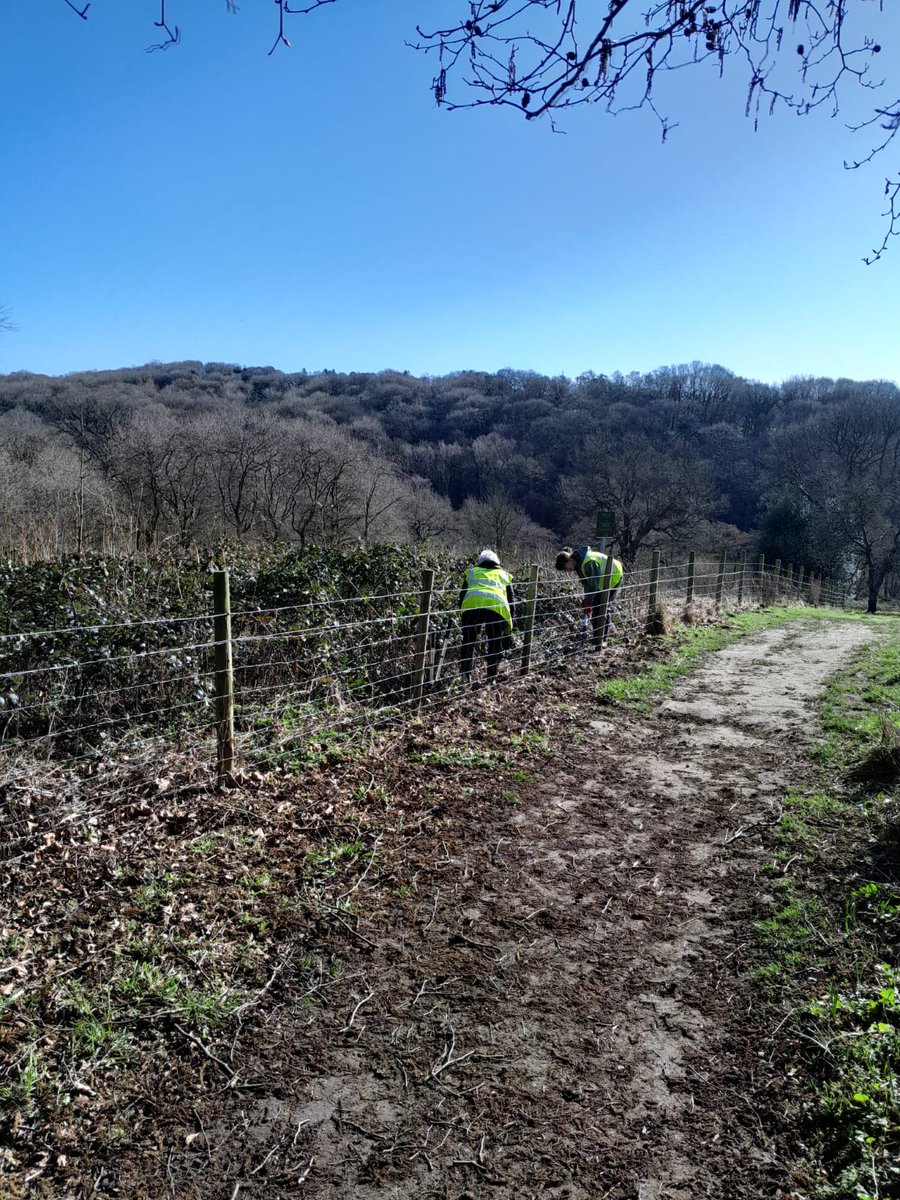 Friends of Roundhay Park tweet media