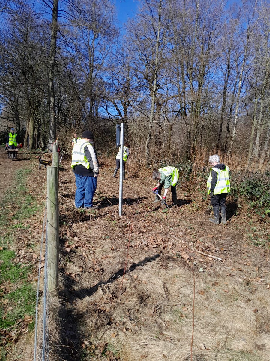 Friends of Roundhay Park tweet media