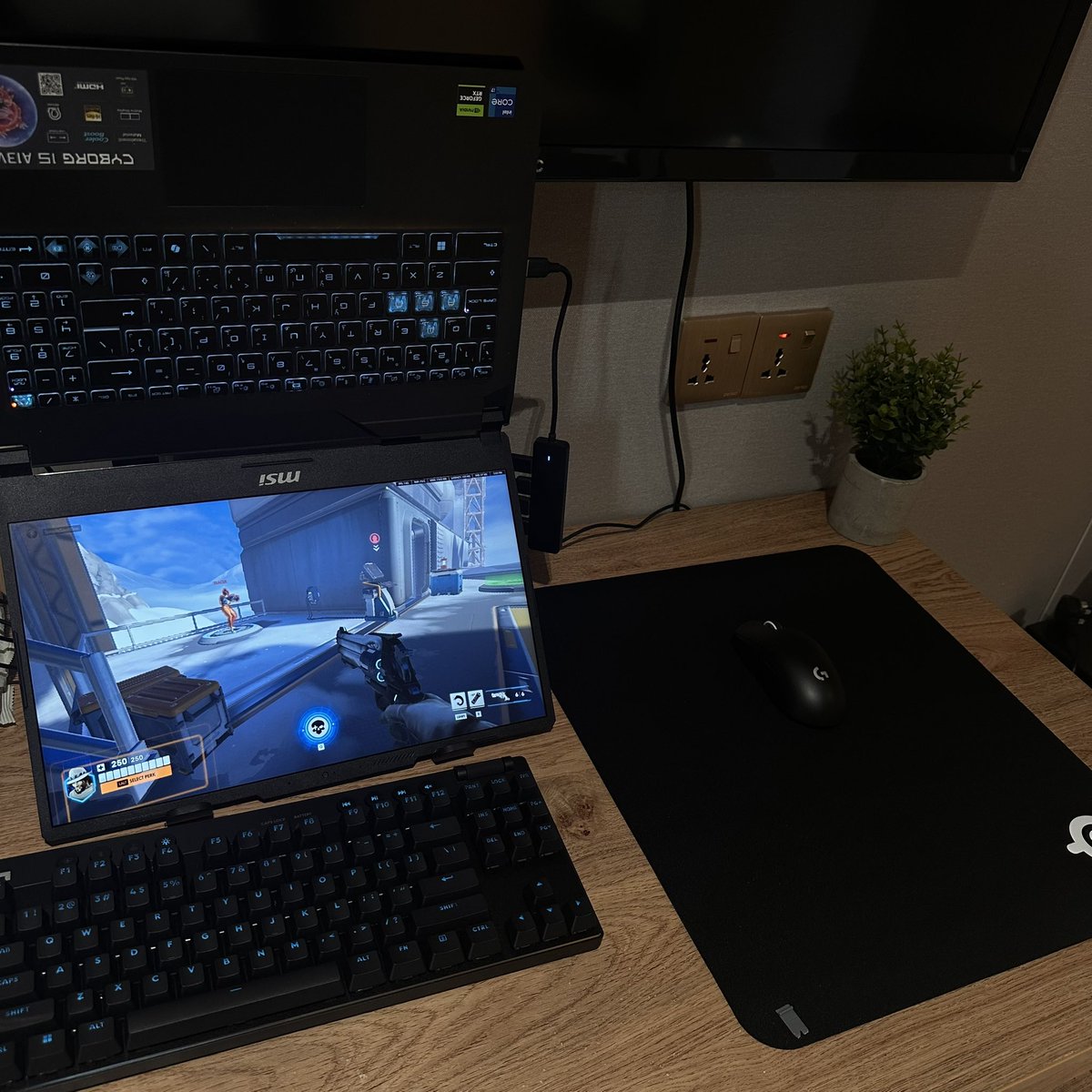 SimpleSacrifice tweet media