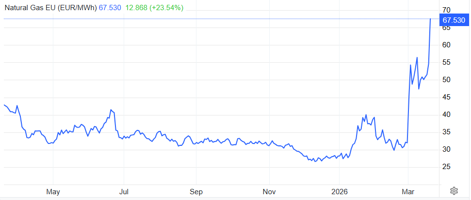 Deep Whale tweet media