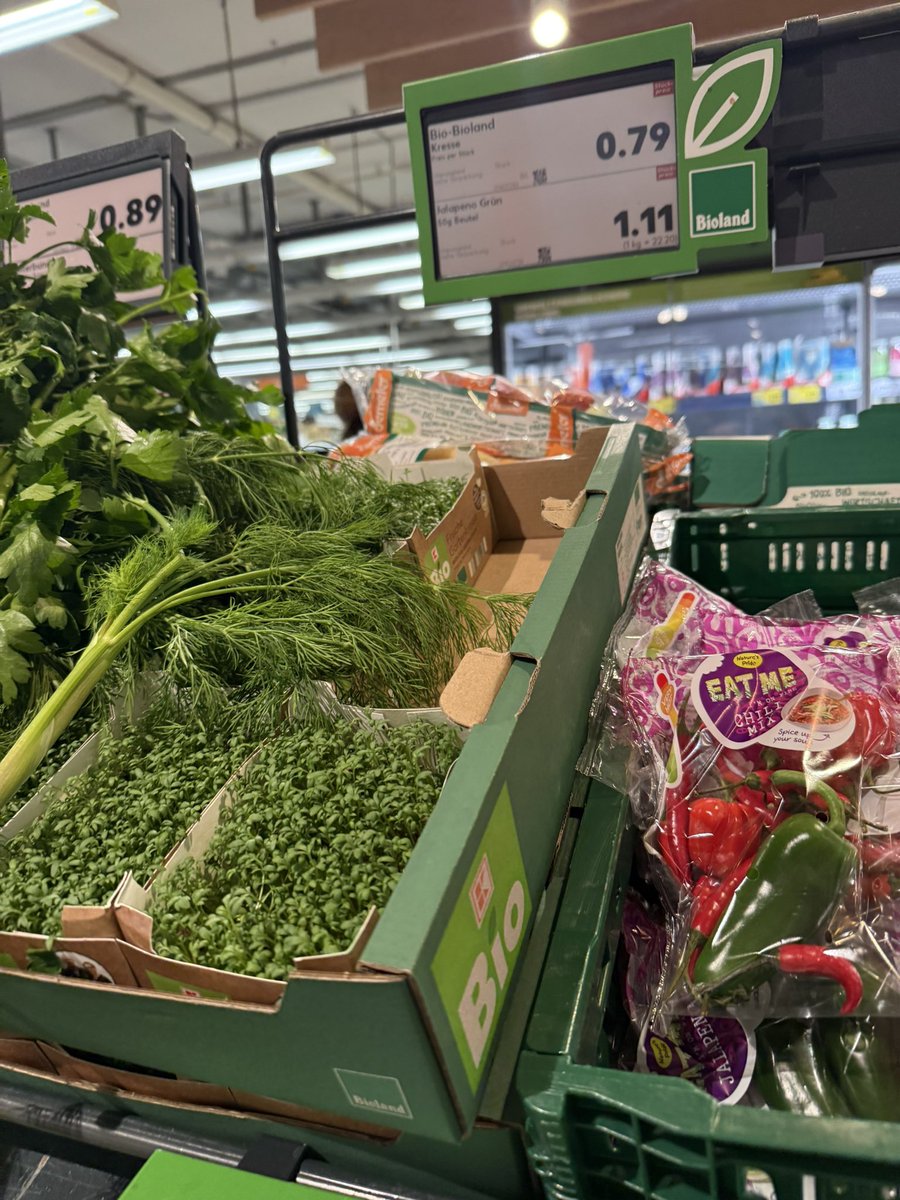 Nahid Seif 🇮🇷 tweet media