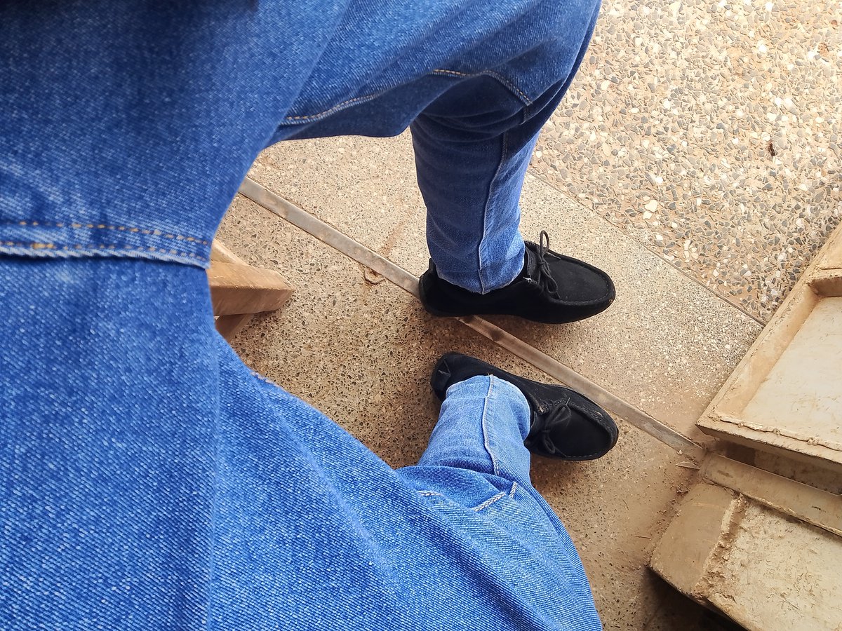 CHEQUEMATE 🥭 tweet media