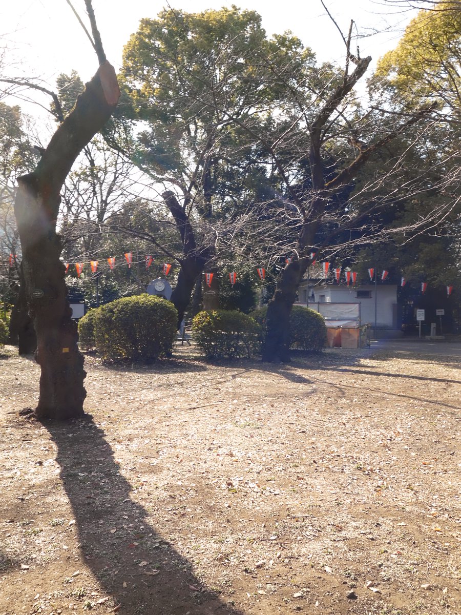 KISUKE | PhotoBookSpace tweet media