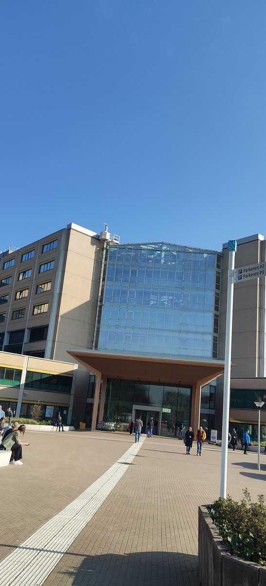 Piepersnijder tweet media