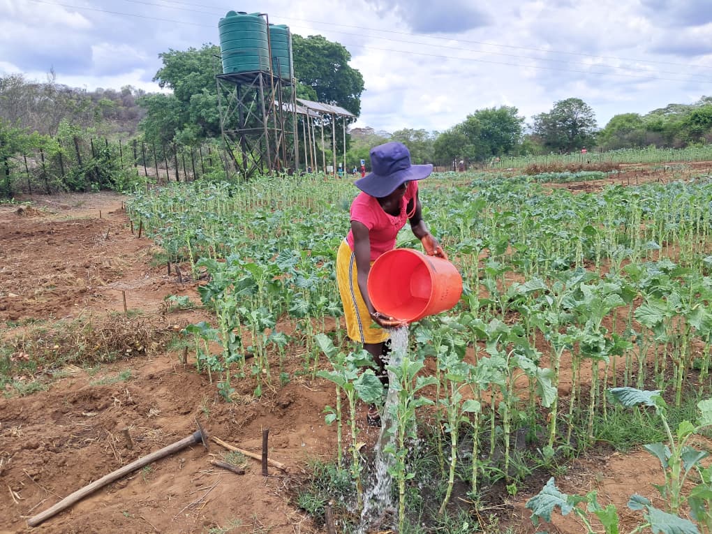 CARE Zimbabwe tweet media