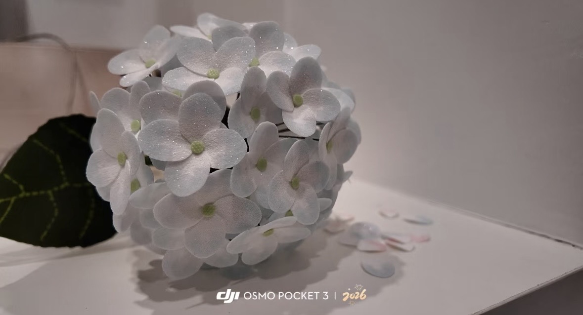 たなか/美容 tweet media