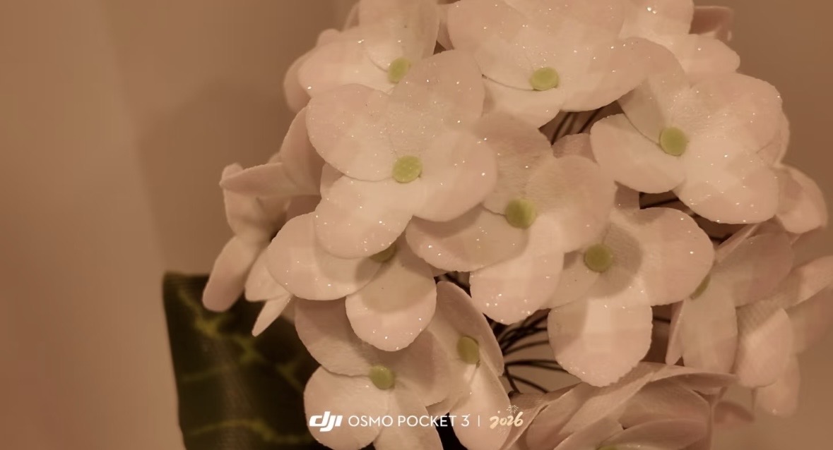 たなか/美容 tweet media