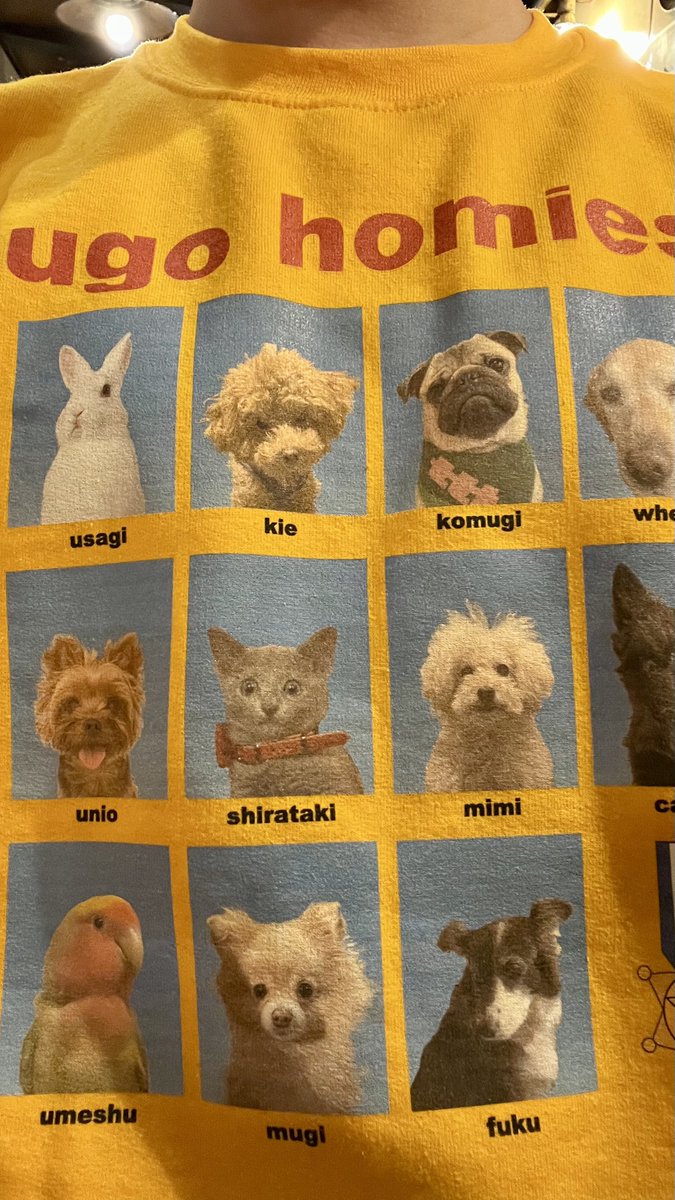 浦上想起 tweet media