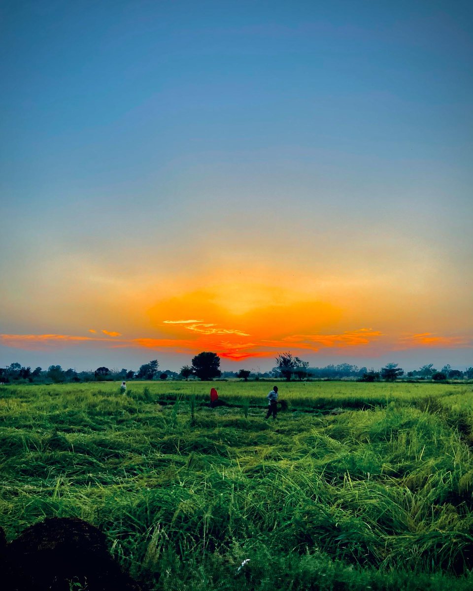 blonda alessandro tweet media