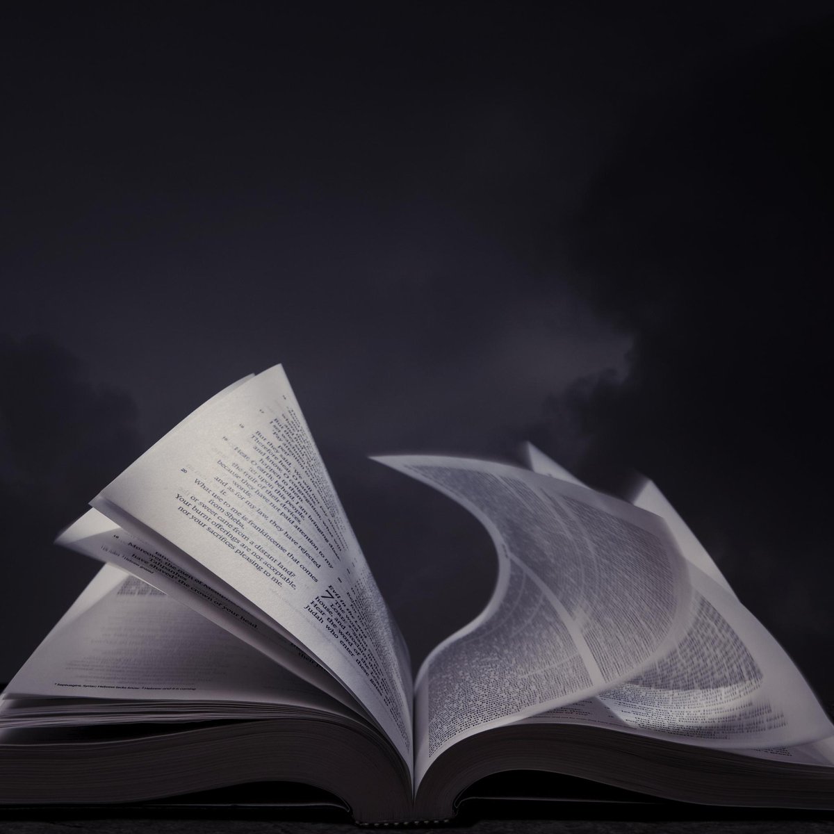 ملاكي tweet media