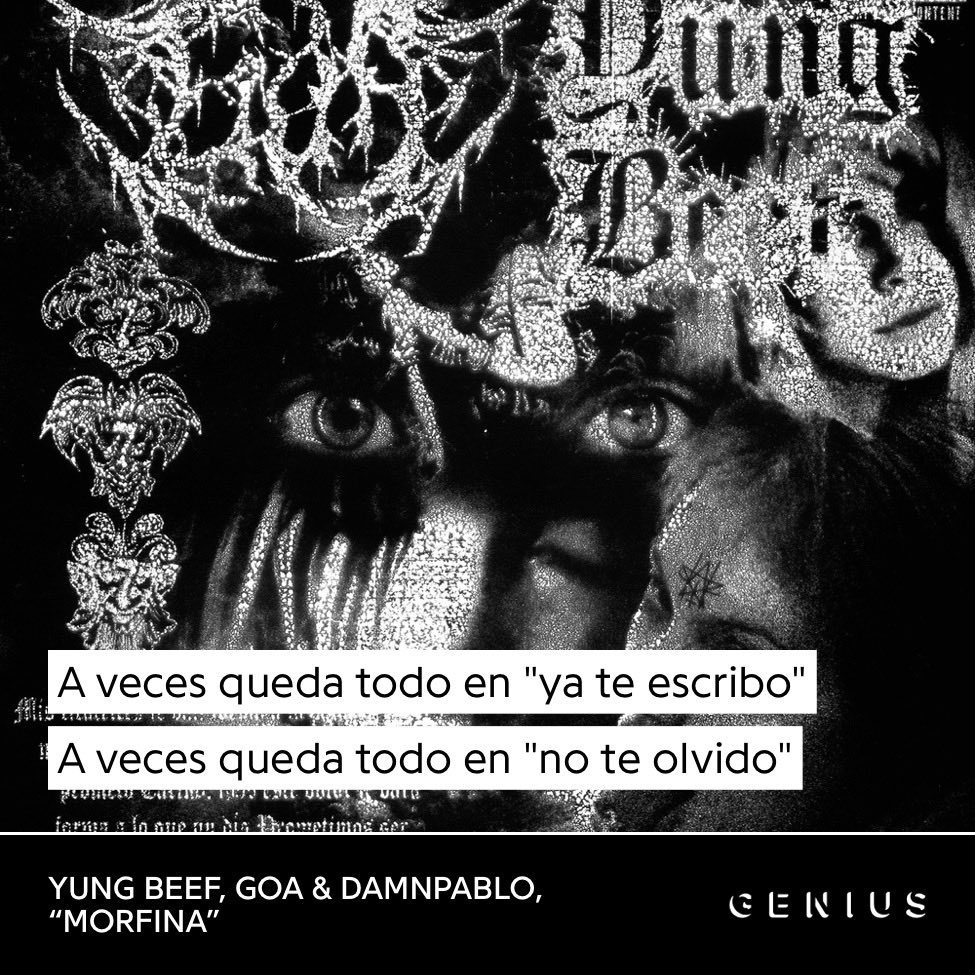 kittyporro🍁 tweet media