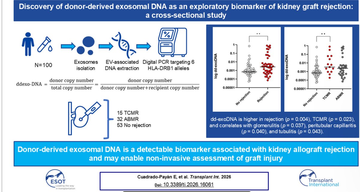 Diana Rodríguez Espinosa tweet media