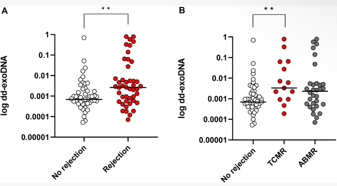 Diana Rodríguez Espinosa tweet media