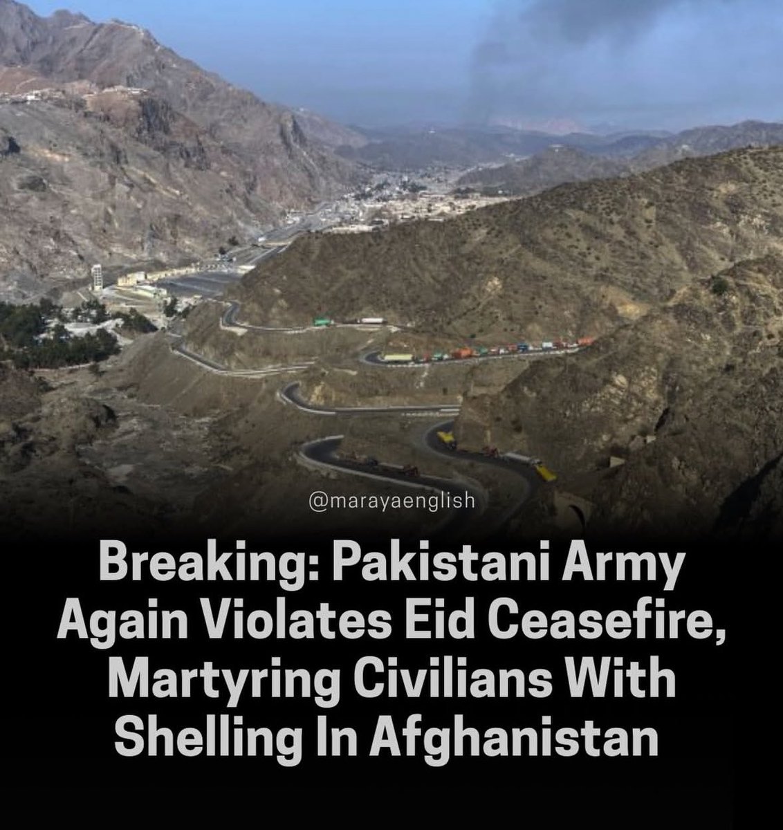 MG 🏳️ tweet media